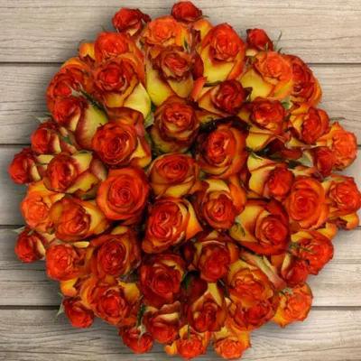 50 Stems Of Bicolor Orange Rose