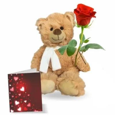 Teddy Rose And Card