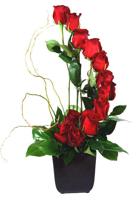 12 Red Roses Flower in Vase