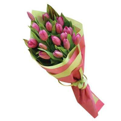 Pleasing Pink Tulips Flower