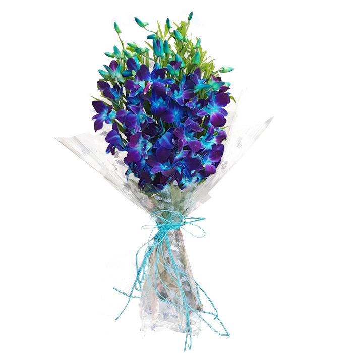 Blue orchids Flower in cellophane packing