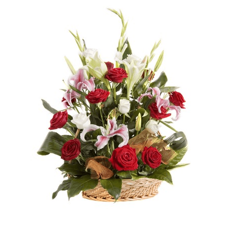 Acoustic Belle Flower