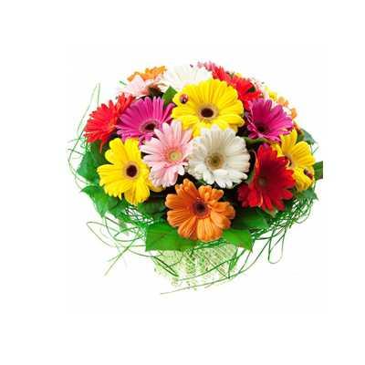 15 Gerberas Flower Bouquet with Green fillers