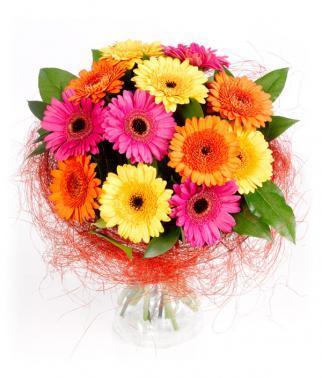 12 Mix Gerberas Flower in Jute Wrap
