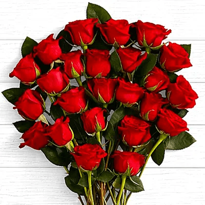 Two Dozen Long Stemmed Red Roses