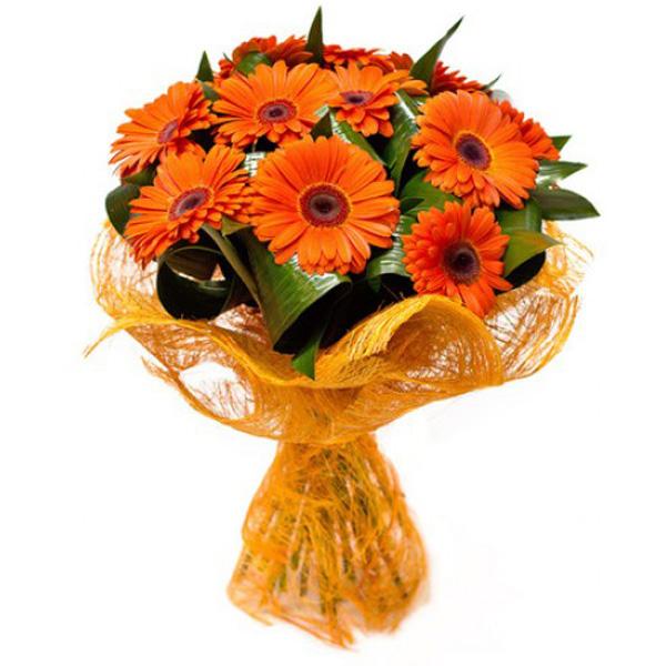 Magnificence in Orange Flower