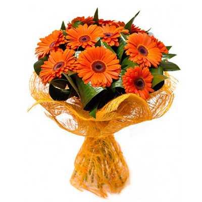 12 Orange Gerberas Flower in Jute Wrap