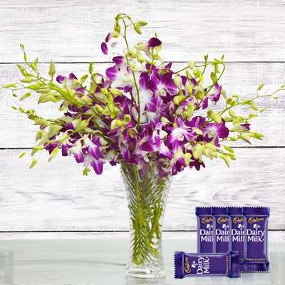 Exotica - Dairy Milk Combo