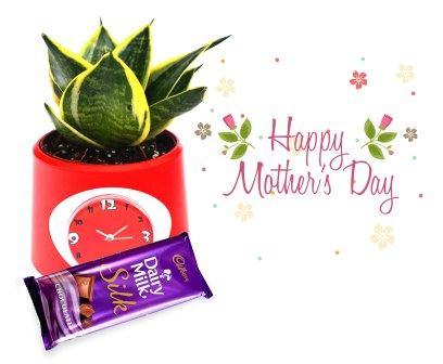 Milt indoor Plant combo