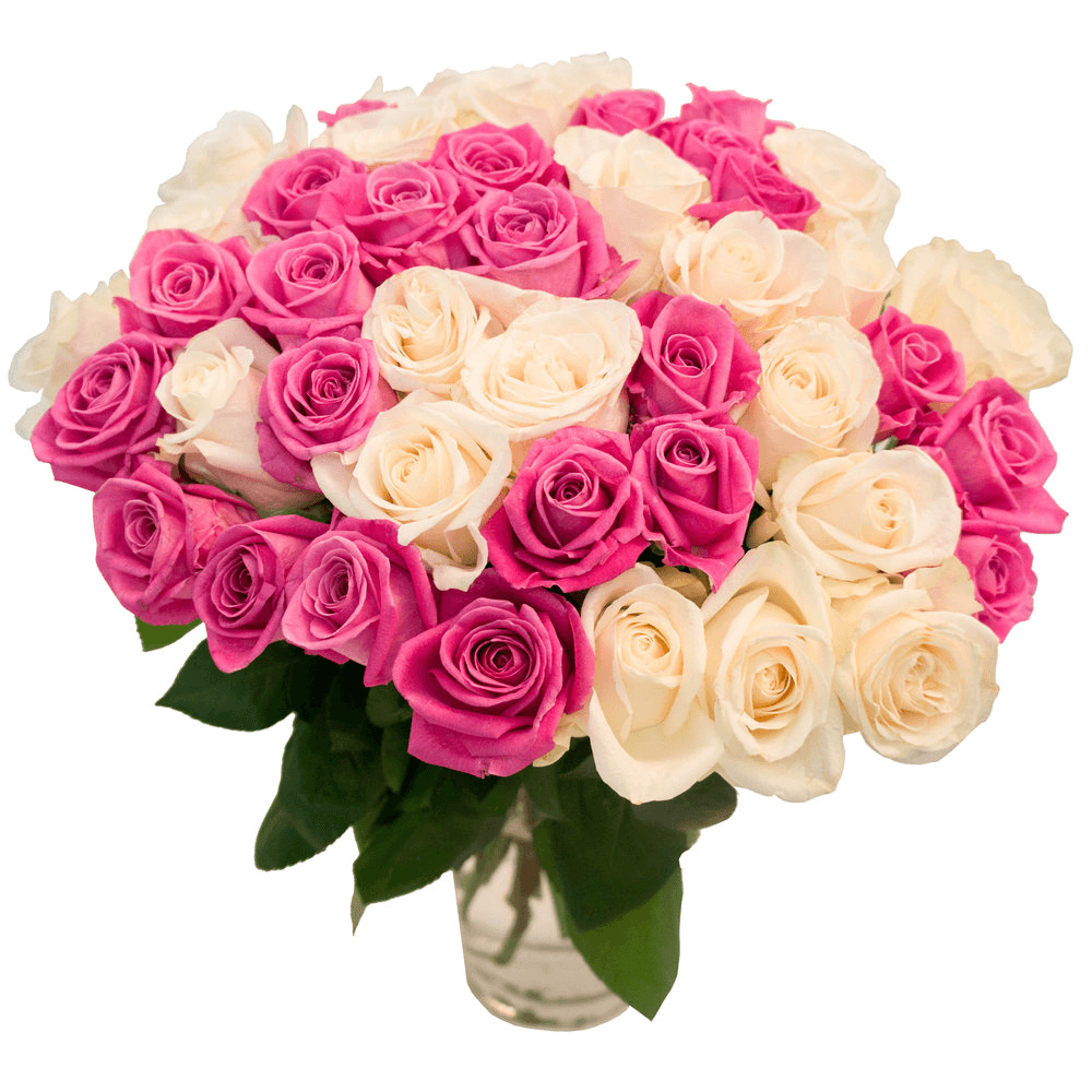 Catch the Eye Flower