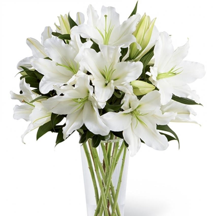 Dreams Unlimited Flower