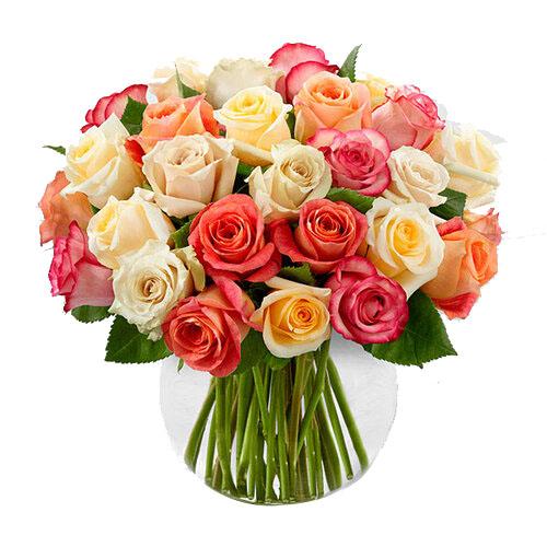 Rainbow Roses Flower