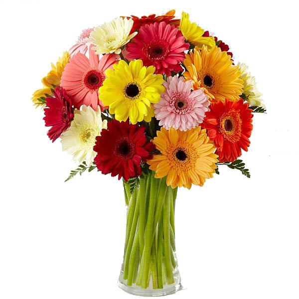 Heartfelt Wishes Flower