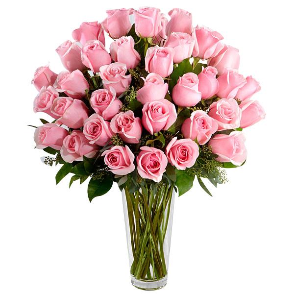 The Touch of Pink Flower