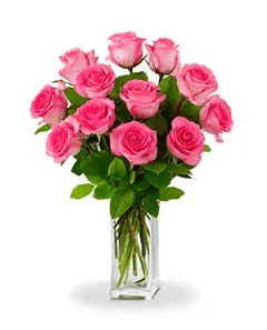 Dozen Pink Roses