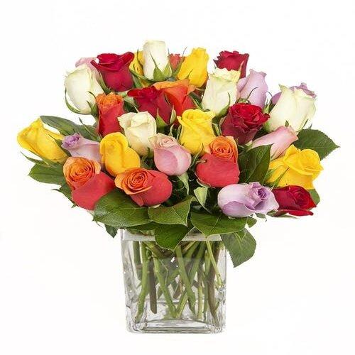 Rose Flower Rainbow Collection