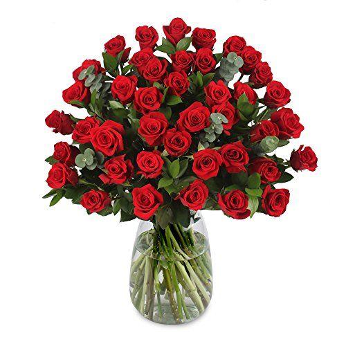 Red Rose Bloom Flower