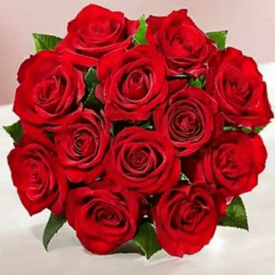 Shades Of Love Red Rose