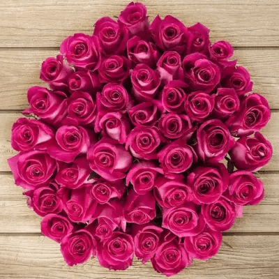 50 Hot Pink Roses