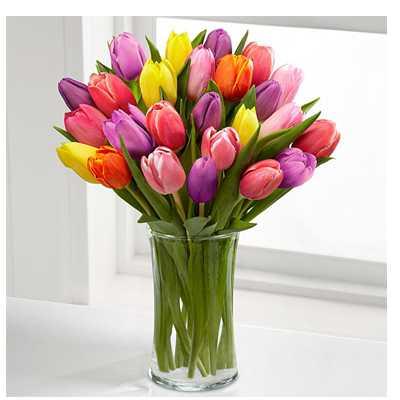 Exuberant Shaded Tulips Flower