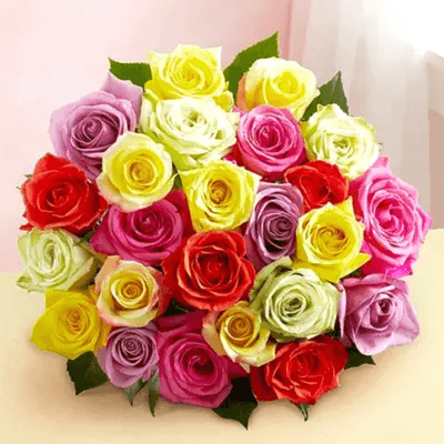 24 Mixed Roses