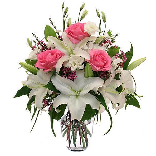 Peaceful Blossom Flower