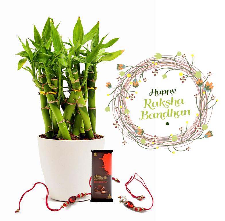 Raksha Bandhan Gift Lucky Bamboo Cage Combo with Rakhi