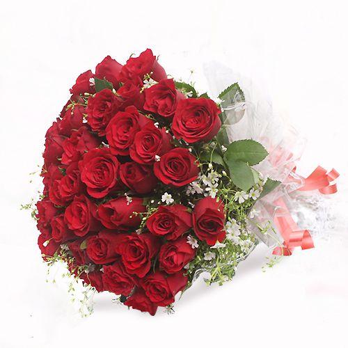 A Classic Rose Flower Collection