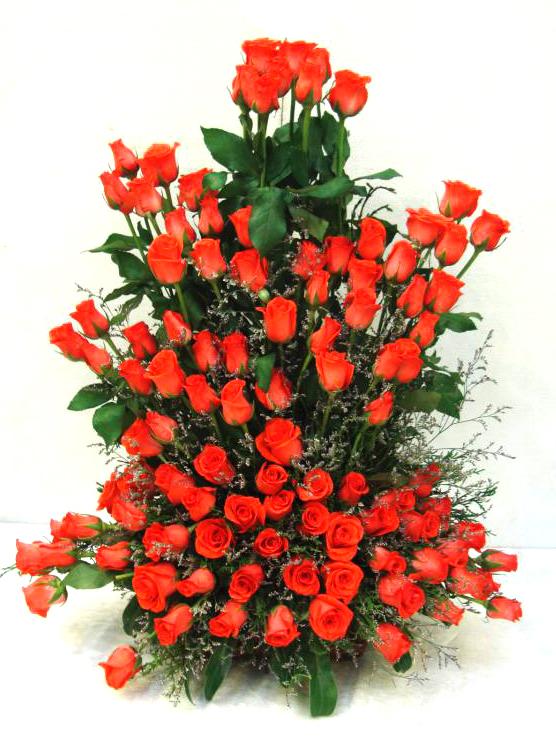 Faithful Love Roses Flower