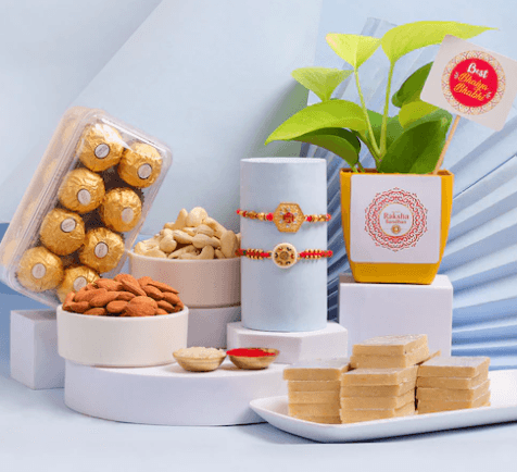 Money Plant Rakhi Bliss - Set of 2 with Sweets & Nutty Treats