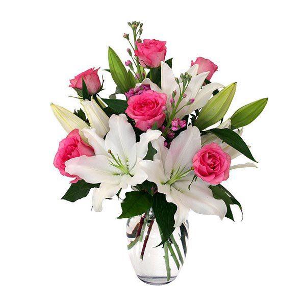 Aromatic Queen Flower