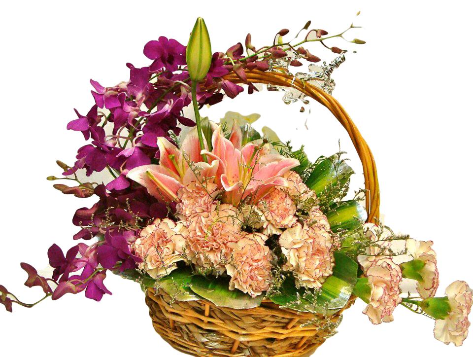 Mellow Fellow Flower