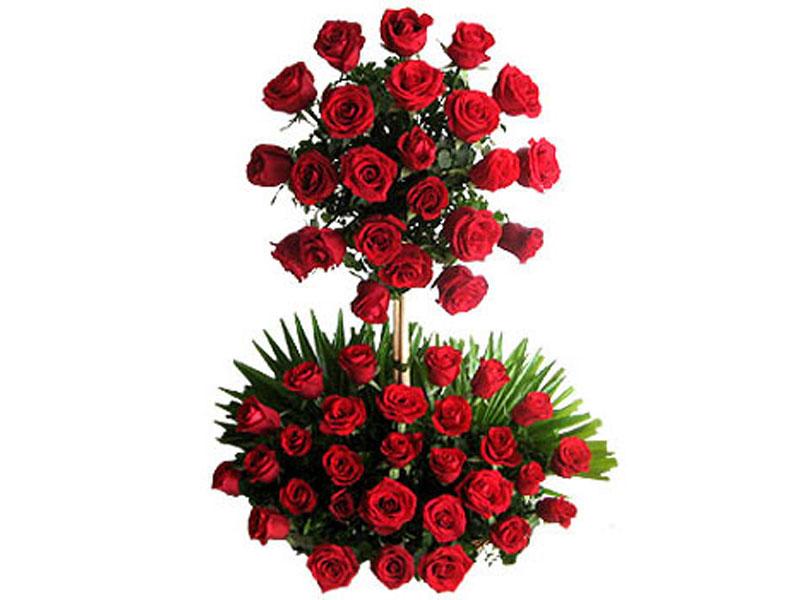 50 Red Roses Flower Tall Arrangement