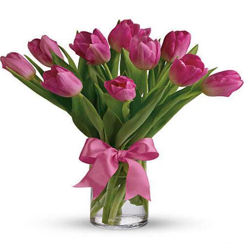 Exotic Pink Tulip Flower