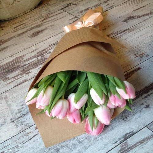 Pretty Pink Tulip Flower