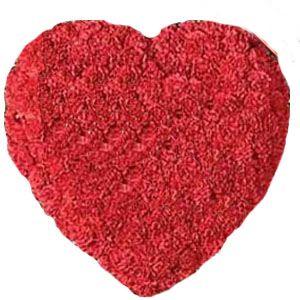 Red Carnation Heart Flower