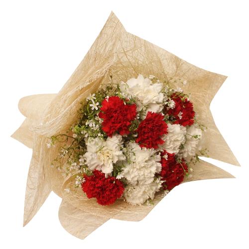 Blossoming Carnation Flower