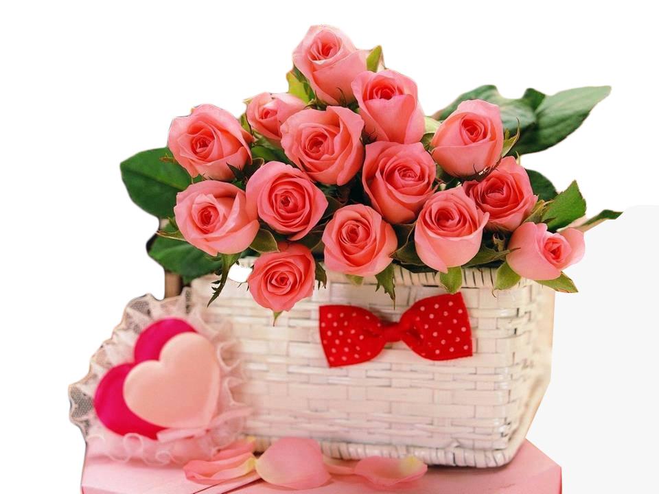 Transcendent Beauty Flower