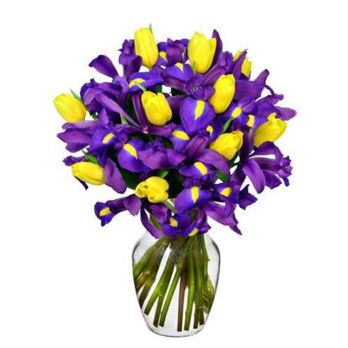 Robust Style Tulip Flower