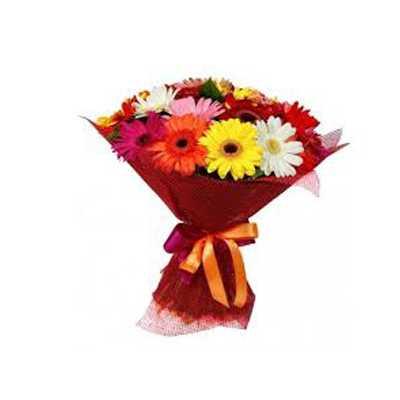 15 Gerberas Flower in Red Tissue wrap