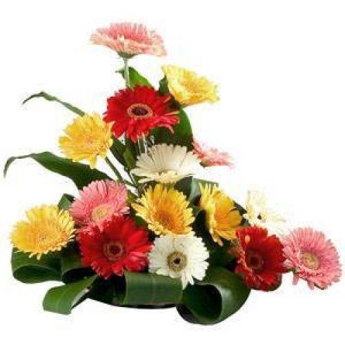 A class apart Flower