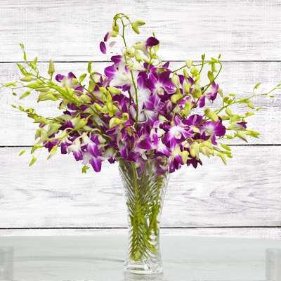 Exotica Flower