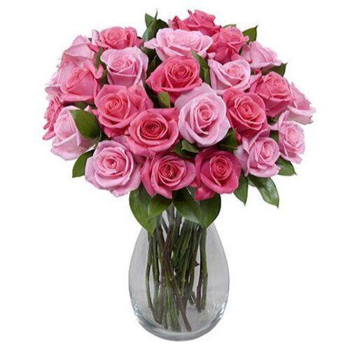 Roses Revelation Flower 