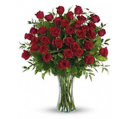 Amazing Beauty Flower