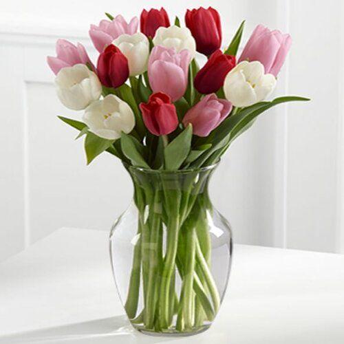 Tranquil Blossoms Tulip Flower