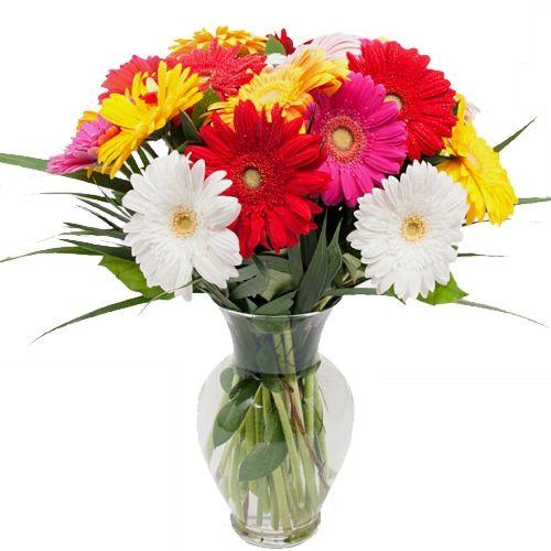 Pristine Blessings Flower