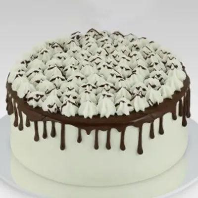 Chocolate Custard Cake Mini