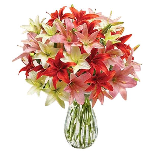 Lily Union Flower