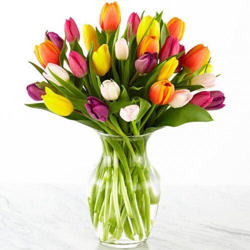Manifest Love Tulip Flower