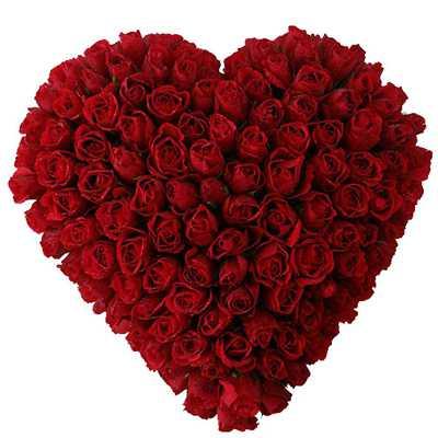 Red Crush Flower